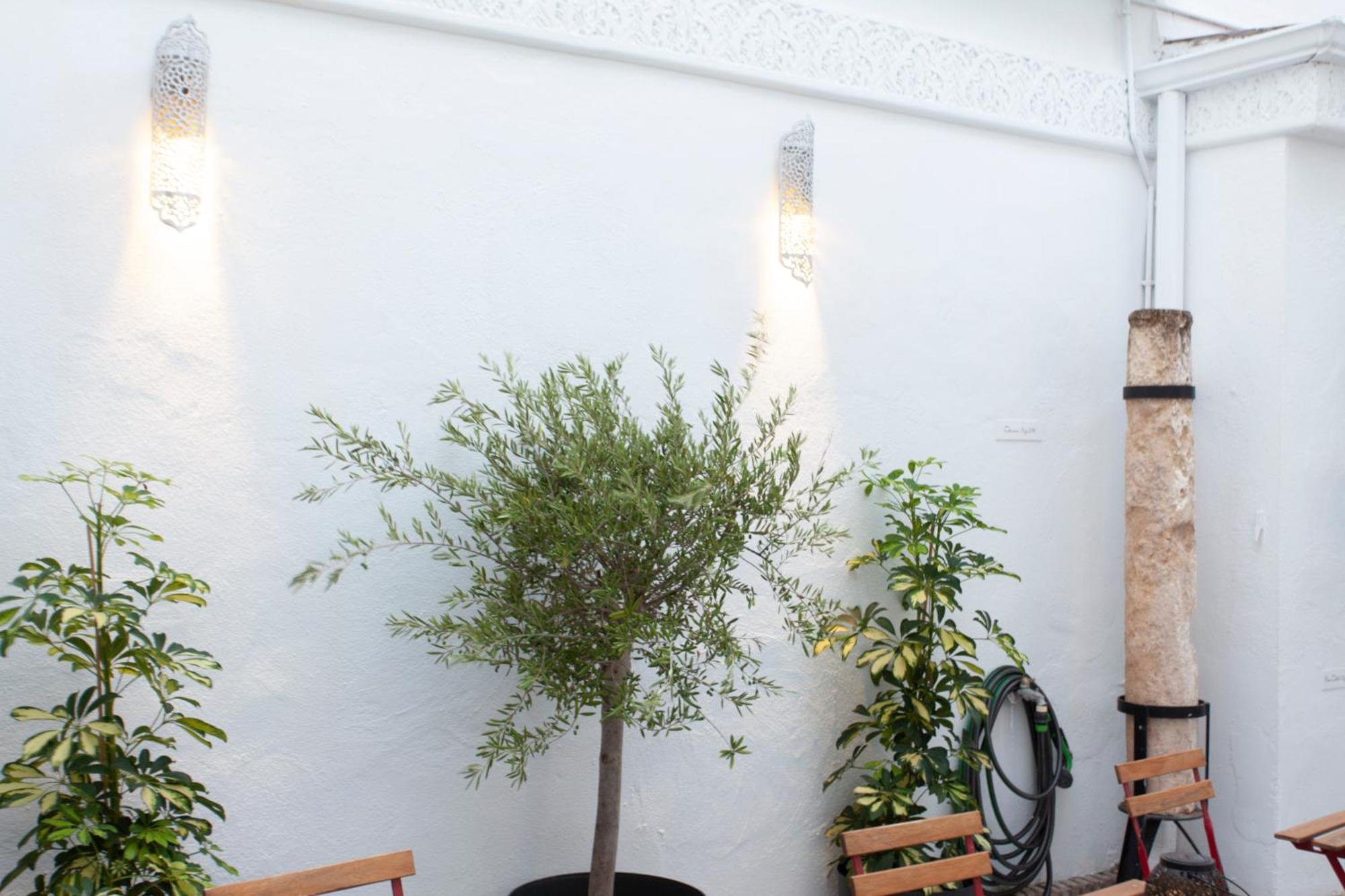 Altabib Riad Cordoba Exterior photo